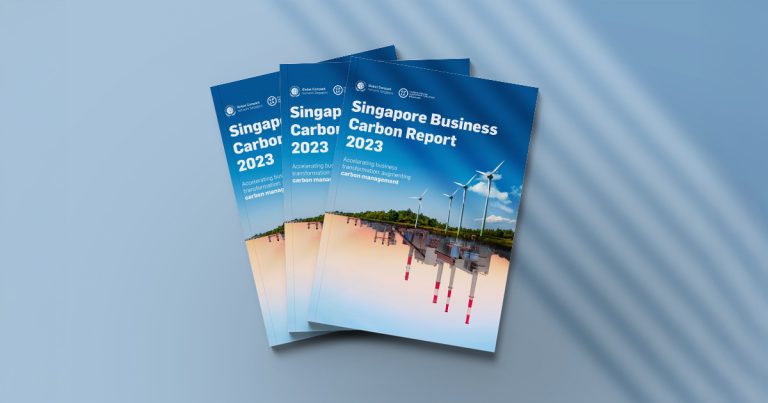 GCNS: 3 Steps to Mastering Corporate Sustainability Reporting