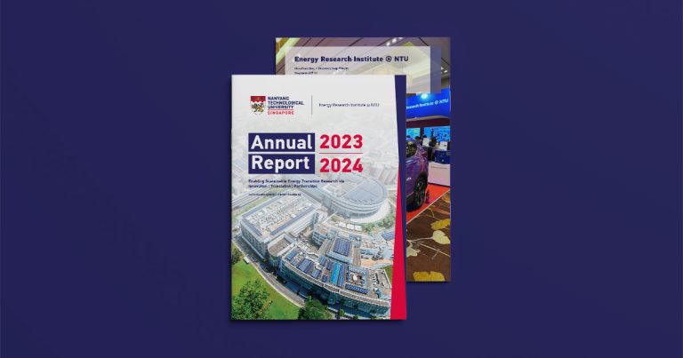 Case Study: ERI@N Annual Report