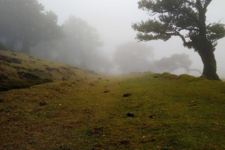 The Art of Visual Storytelling in Web Design