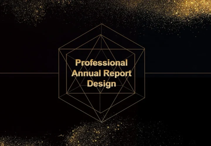 professional annual report design